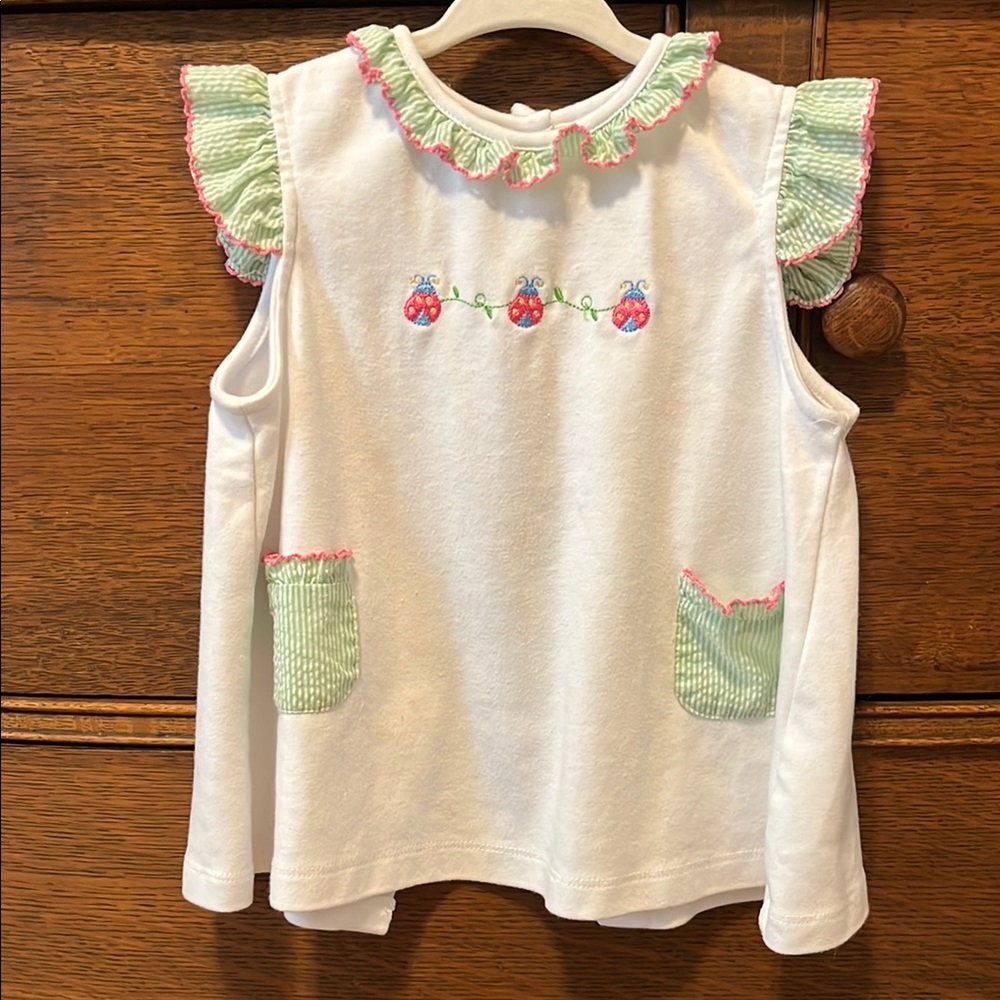 Anavini ladybug top